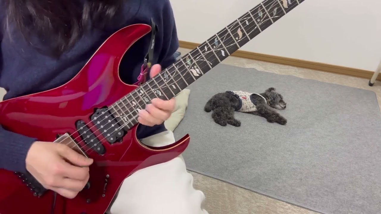 【265日目】1年かけてCanon Rockを弾けるようになるday265