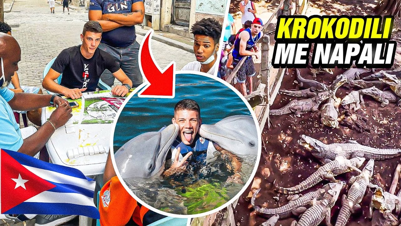 PLIVAM SA DELFINIMA I KROKODILIMA ! *krokodil me ujeo za nogu* (KUBA VLOG)