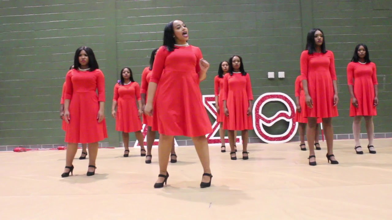 DELTA SIGMA THETA PROBATE 2018