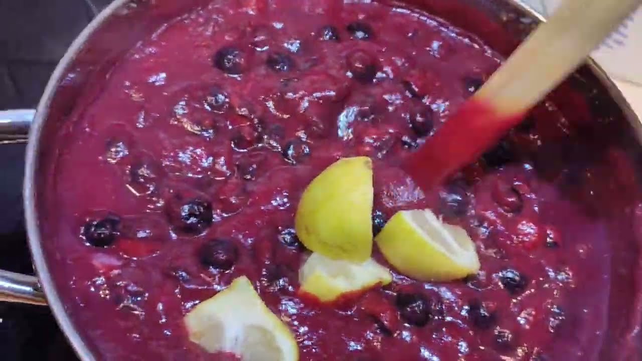 Schlehen Marmelade und Schlehen Saft machen wir zusammen