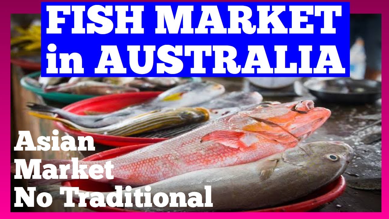 FISH MARKET IN AUSTRALIA // PASAR TRADISIONAL