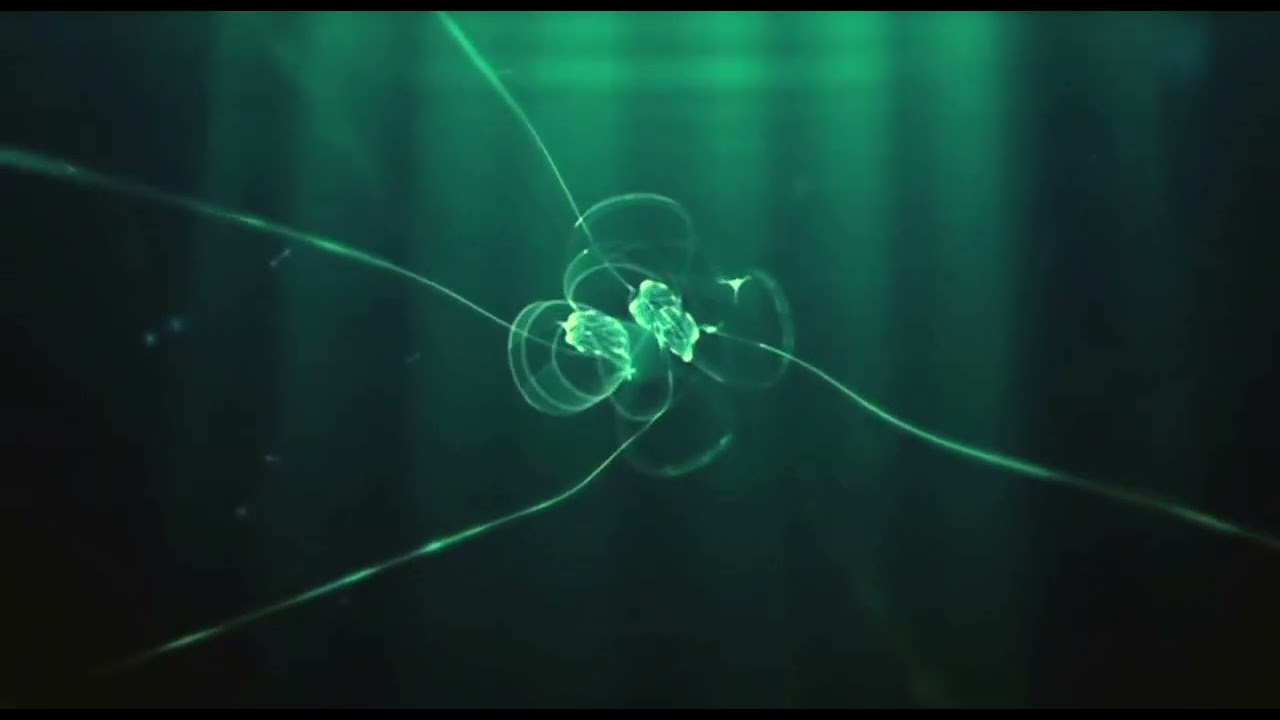 TOP END | BIG BANG - REMASTERED | OFFICIAL VIDEO |