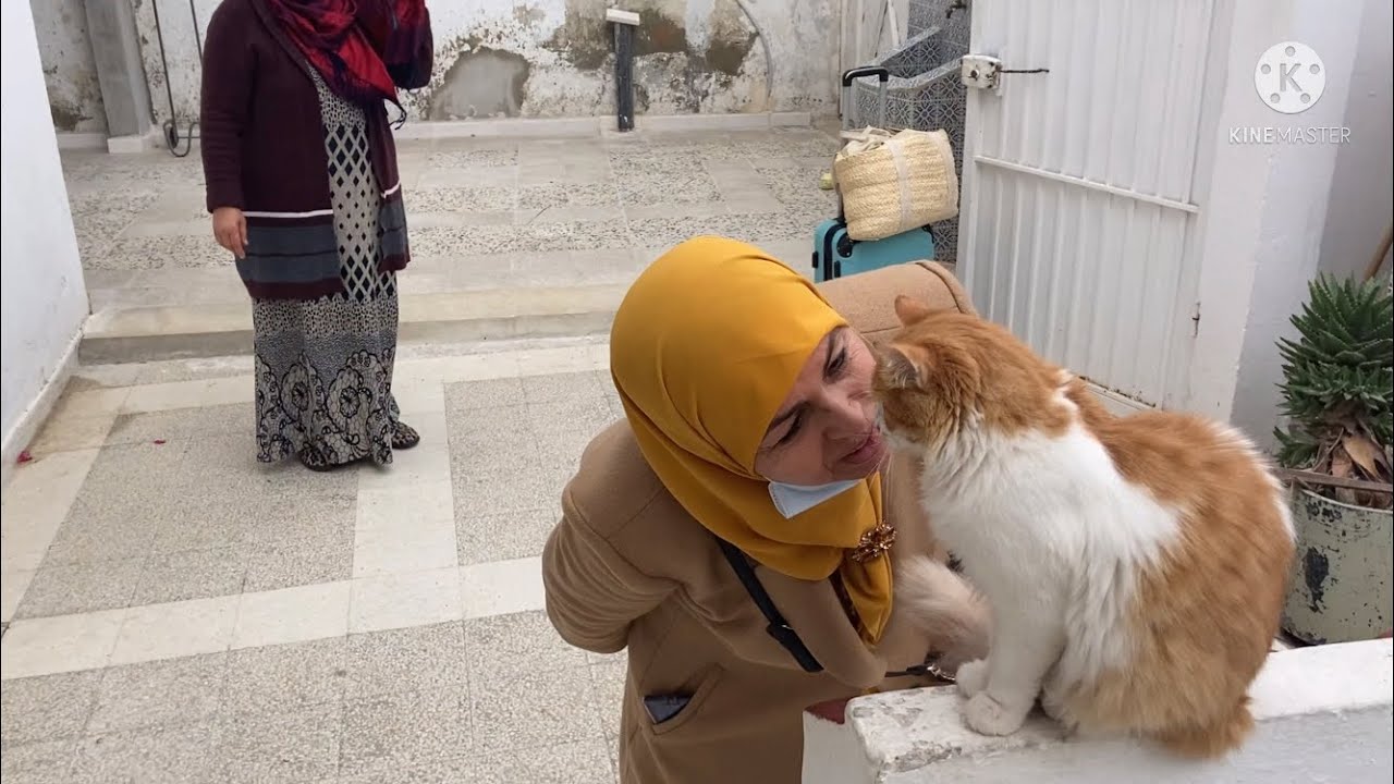 فيديو متنوع مع سفر  سعدودة