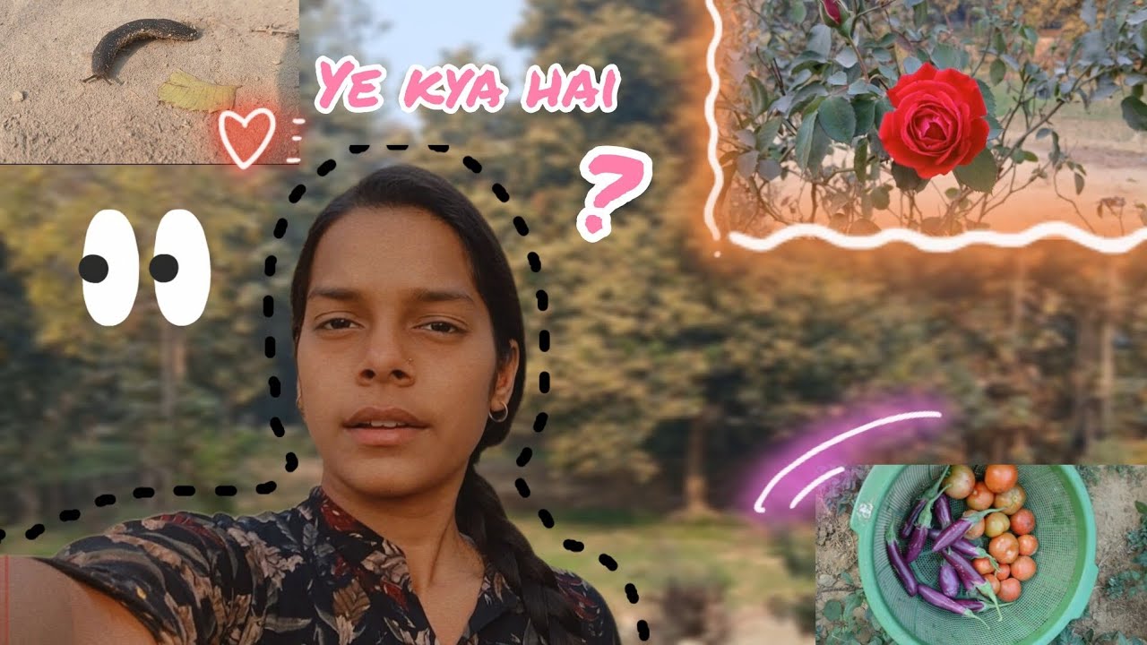 Tour of my village garden 🏕 #nature #tour #vlog @chaotic_anchal 