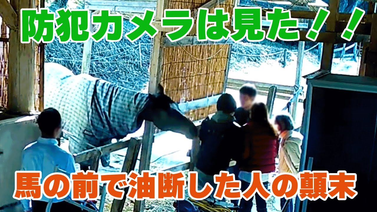 【うっかりハプニング】サンちゃんおやつ欲しかっただけなのに…【防犯カメラは見た】