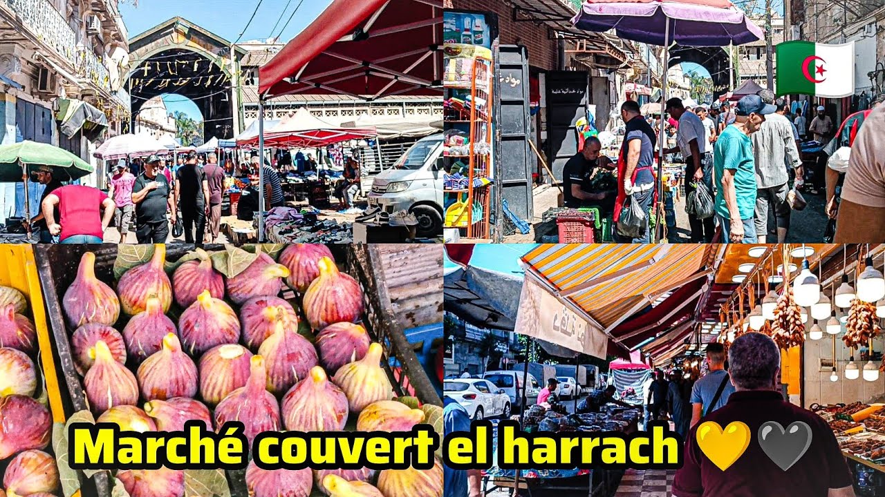 MARCHÉ COUVERT EL HARRACH ALGER  💛🖤