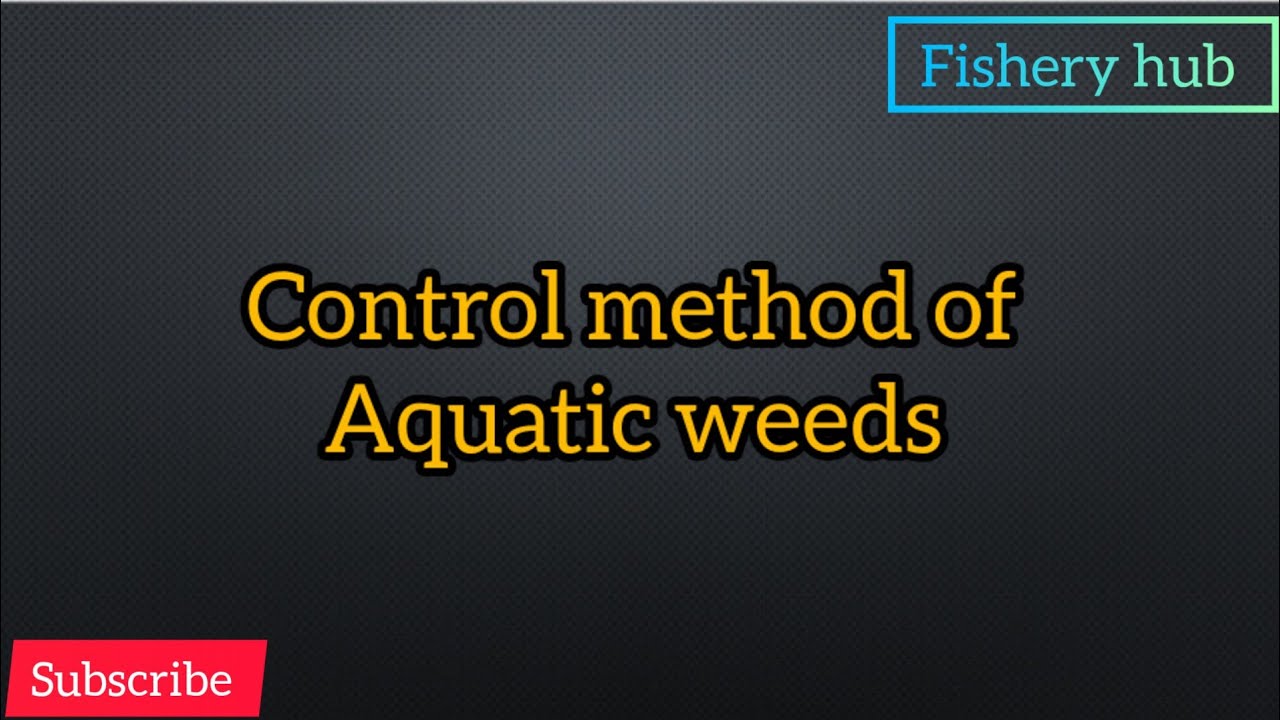 Control method  of Aquatic weeds ||fishery hub