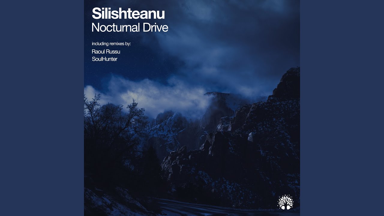 Nocturnal Drive (Raoul Russu Aaru Echoes Remix)