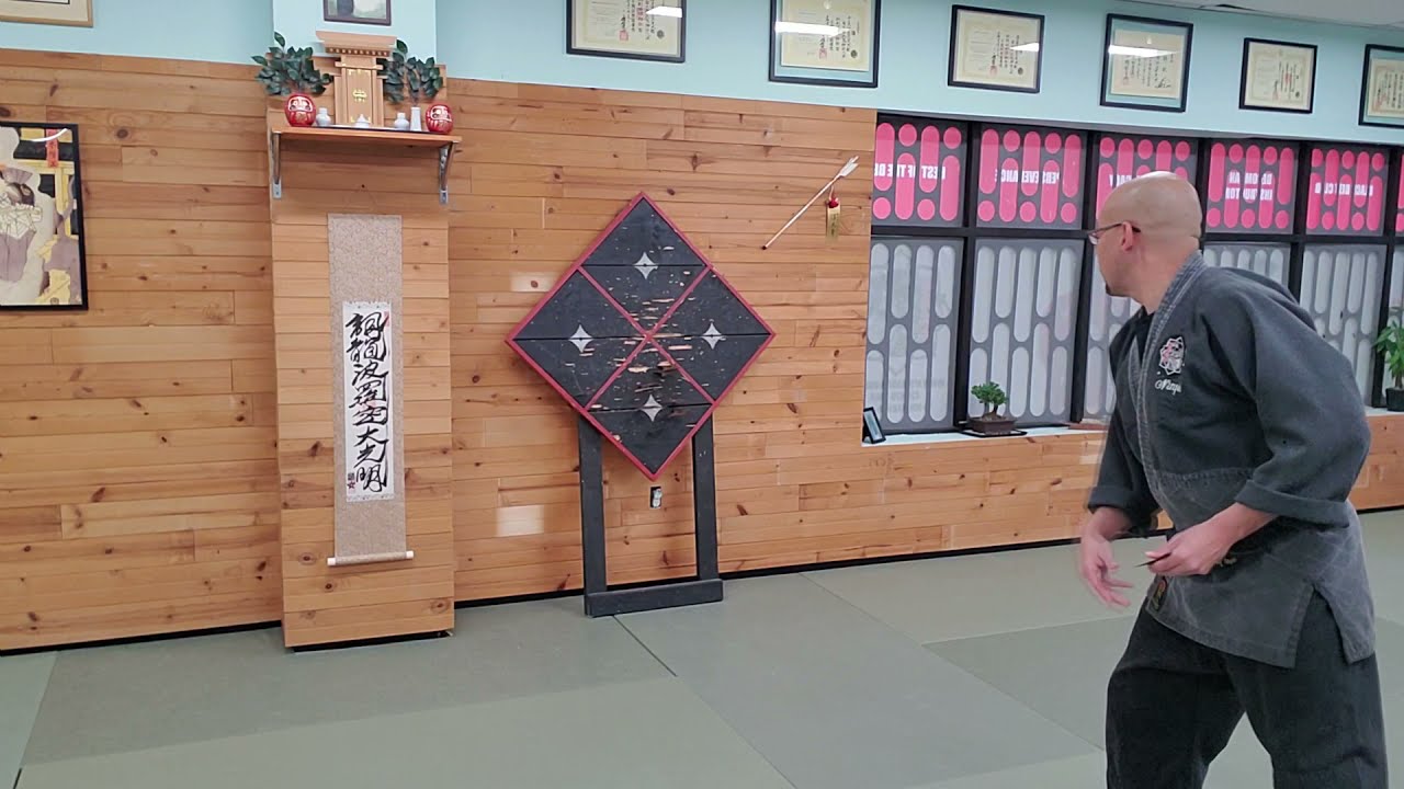 Ninpo Shurikenjutsu (Throwing Blades)
