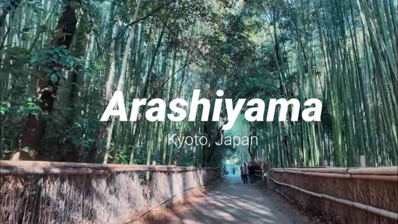 Kyoto Arashiyama, Japan EP. 5 | Japanvlog #japanadventure  #kyotovlog #kyoto #japantravel