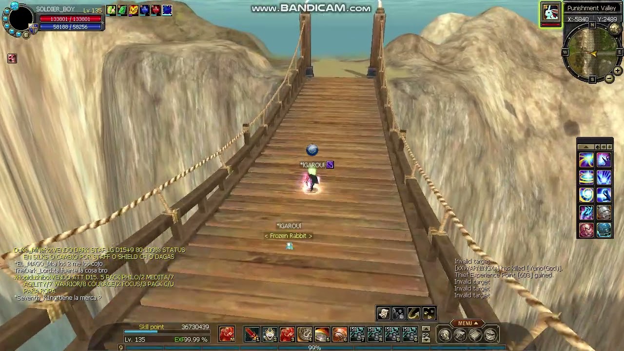 pet bugeado