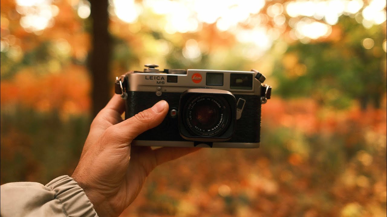 Год использования моей Leica M6 Titanium — долгосрочный обзор.