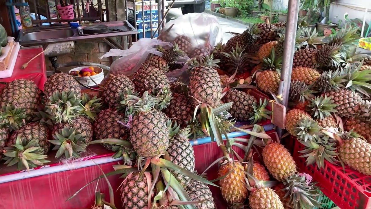 Fruit shop main road lamai Koh Samui Thailand 🇹🇭 ￼1-2-2023
