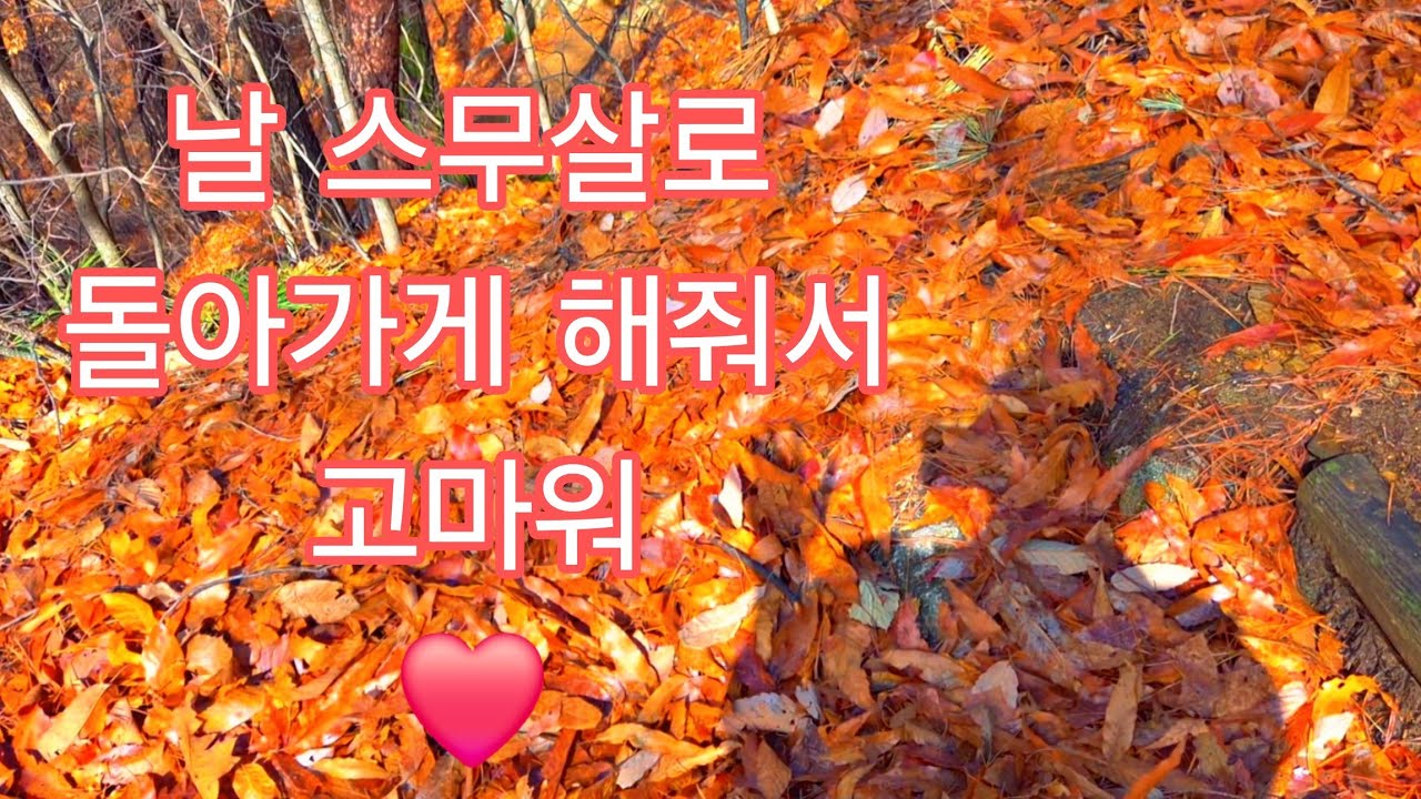 19년 전 핑크 똑딱이의 설렘, 갤럭시 플립7으로 다시 만나다 | 우암산 풍경 VLOG