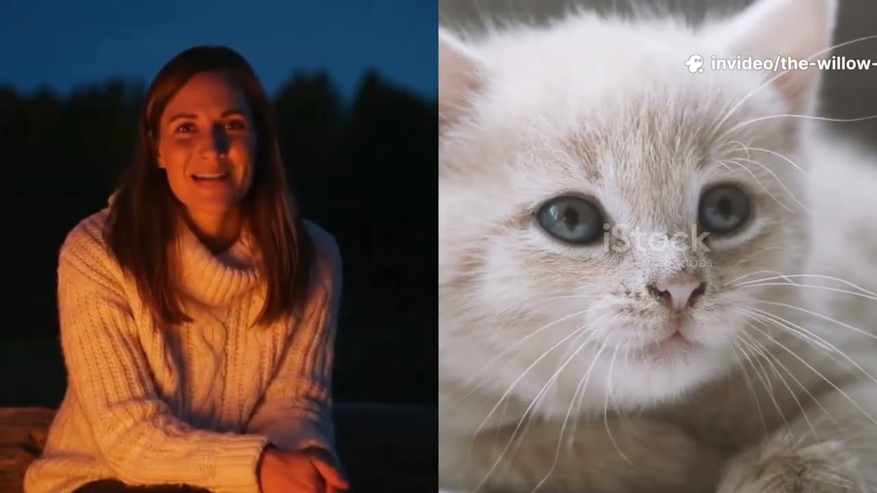 This Cat Family&rsquo;s Secret Will Melt Your Heart