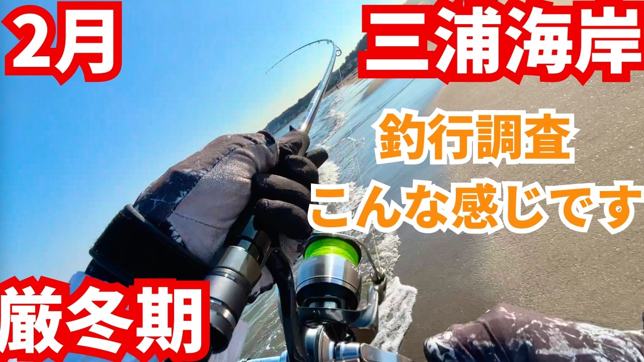 【2月最新!!】寒い中行ってきました！厳冬期の釣り調査 in三浦海岸！ #神奈川 #東京湾 #ヒラメ #マゴチ #フラットフィッシュ #シーバス #釣り初心者 #fishing #海釣り
