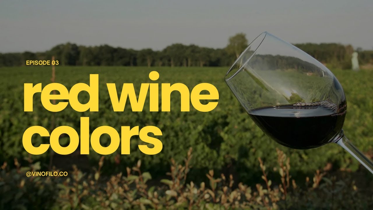 Colours of Red Wines (Visual Analysis) | Keys of Wine Tasting