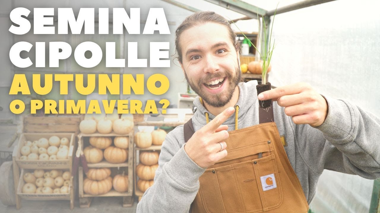 SEMINA DELLA CIPOLLA MEGLIO IN AUTUNNO O IN PRIMAVERA?