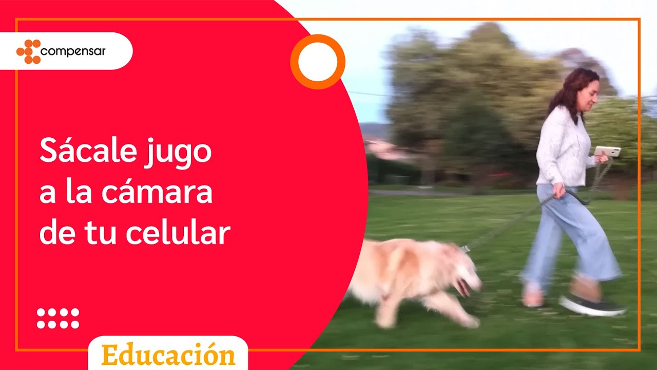 Barridos con la c&aacute;mara del celular | Compensar