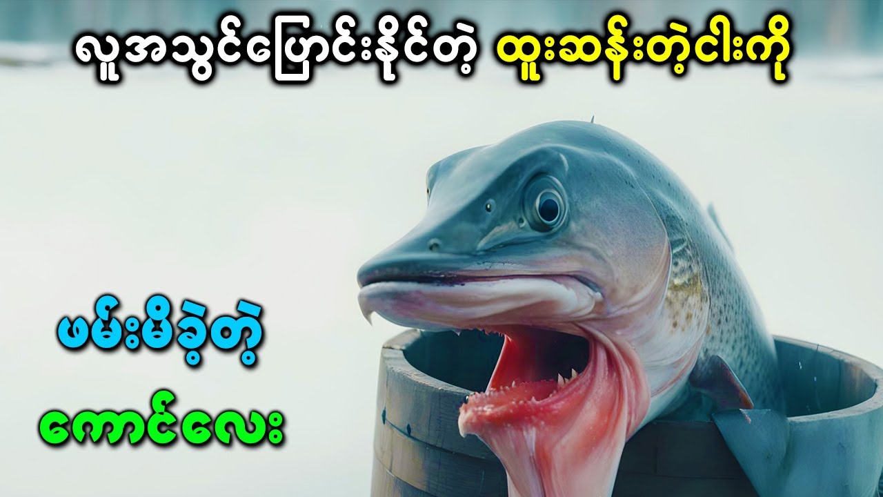 လူအသွင်ပြောင်းနိုင်တဲ့ ထူးဆန်းတဲ့ ငါးကို ဖမ်းမိခဲ့တဲ့ ကောင်လေး