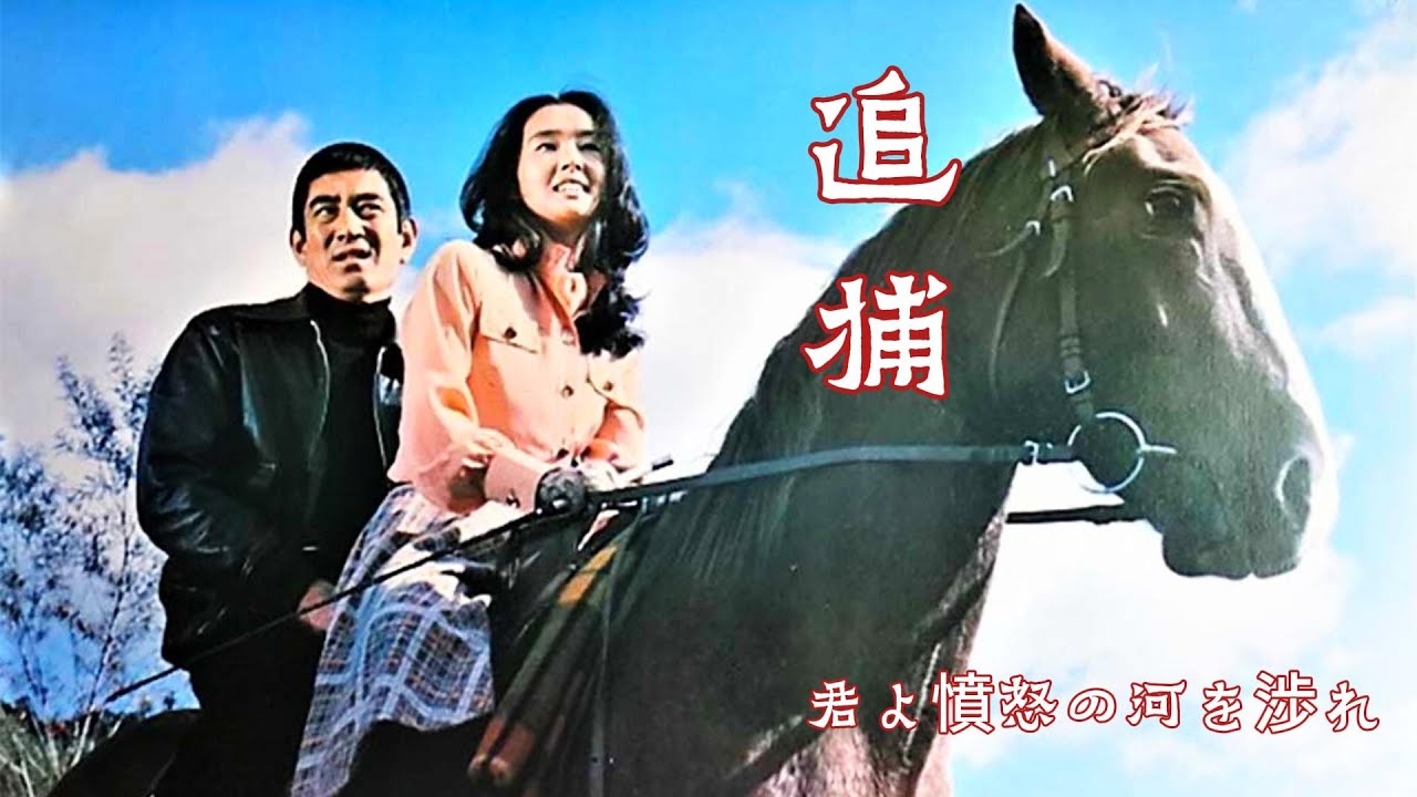 杜丘和真由美的爱情，上译厂经典配音版《追捕 君よ憤怒の河を渉れ》精彩混剪集锦，主题曲《杜丘之歌》一代人的回忆！