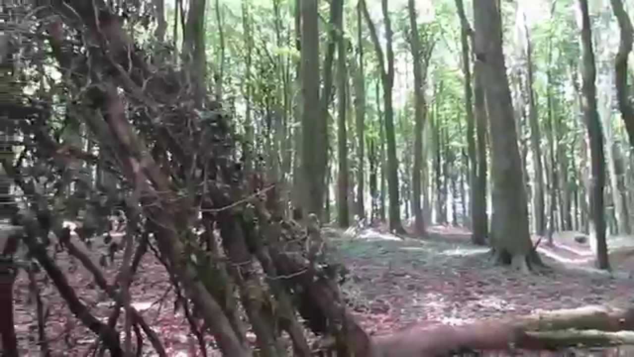 hexenquellen in den bergen