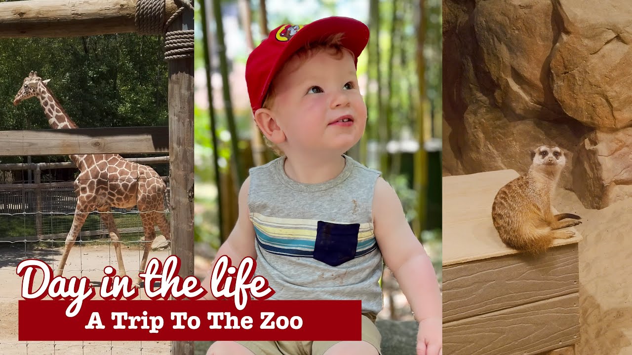 Toddler's Trip To The Zoo // Day In The Life