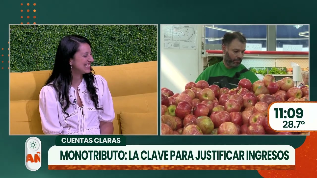Cuentas Claras, Monotributo la clave para justificar ingresos ► TELEFE ROSARIO
