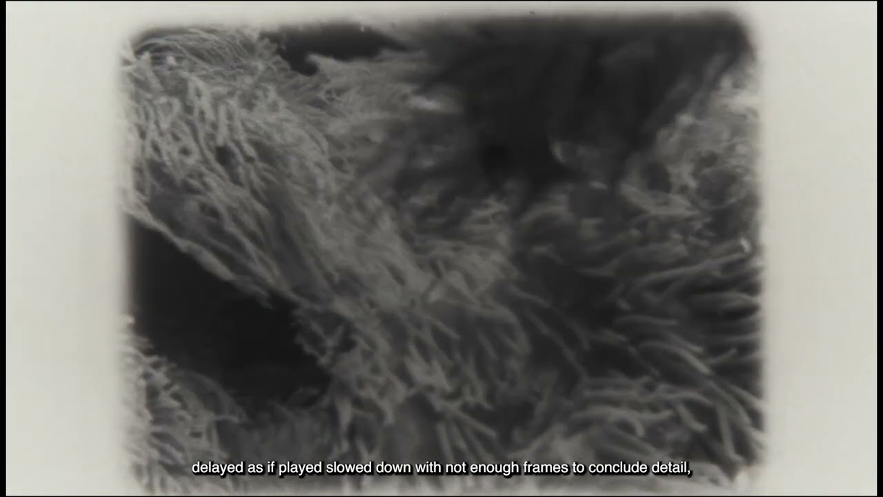 The Projectionist (2025). monochrome super 8 video and text with sound. 00.03.44.