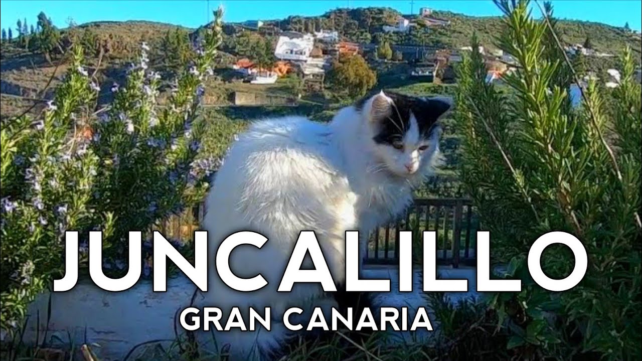 Un PUEBLO ESCONDIDO en las MONTAÑAS SAGRADAS de GRAN CANARIA