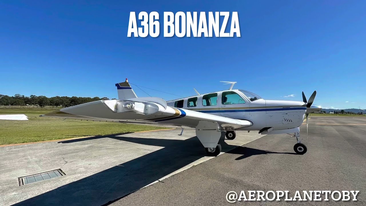 Ollie and I teach ourselves how to fly an A36 Bonanza!