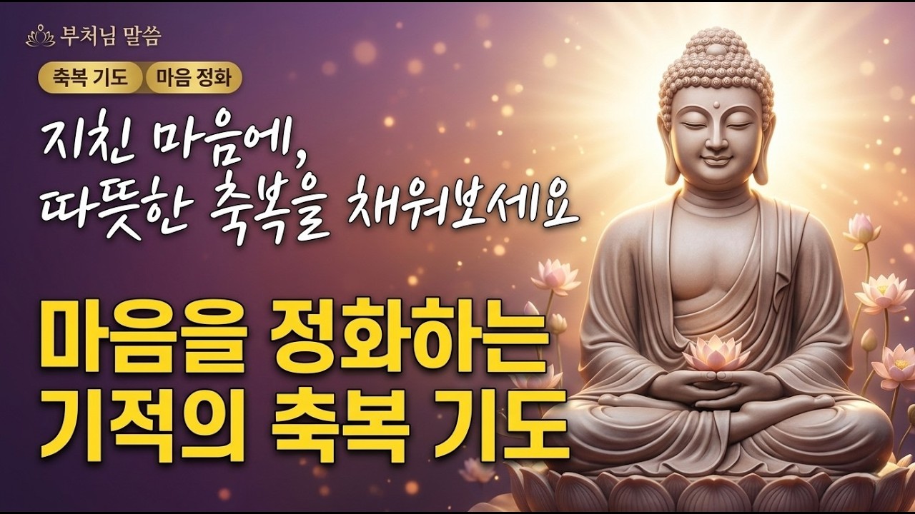 오늘 하루 축복 기도문 | 마음을 정화하는 긍정 확언ㅣ불교명언ㅣ수면명상