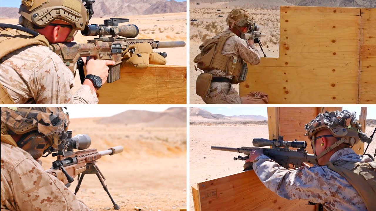 Elite War Dogs Take on Epic Training Exercise with M110 & MK13 Rifles!
