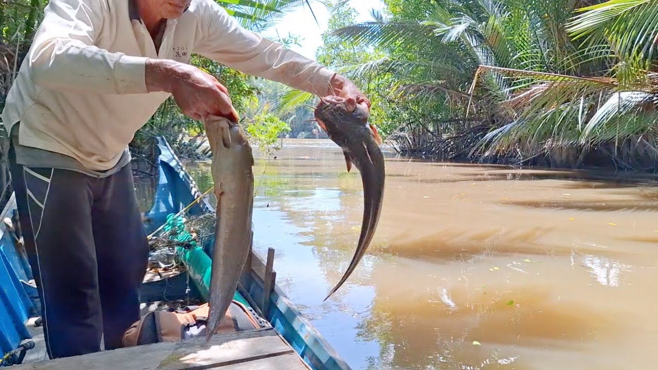 Sungai kecil ini ternyata sarangnya ikan Sambilang,masak santan salai ikan Sambilang