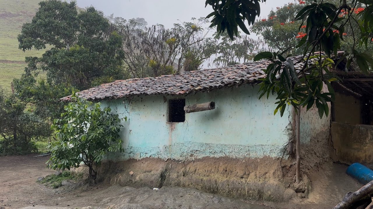 ELES VIVEM  SIMPLES A MODA ANTIGA - DONA ALZIRA - CANHOTINHO - PE