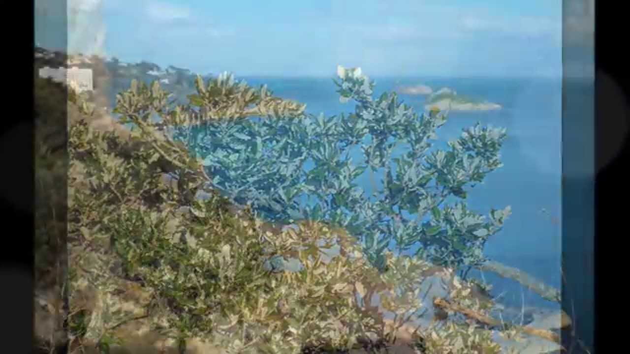 Torquay, Devon, Rock End Walk, April 2015