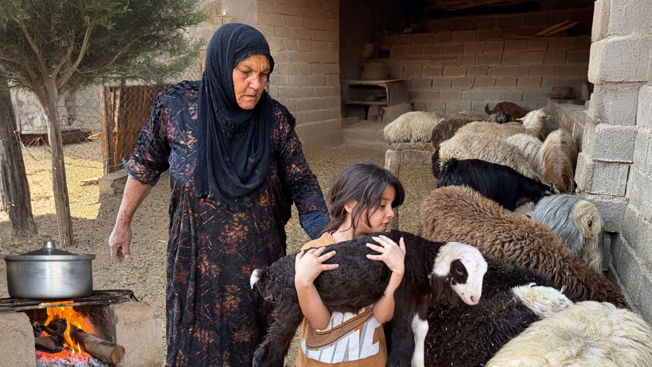 قصة حياة جدة وحيدة في جنوب إيران: خبز يدوي، رعاية الغنم، وصراع البقاء في الحياة الريفية التقليدية