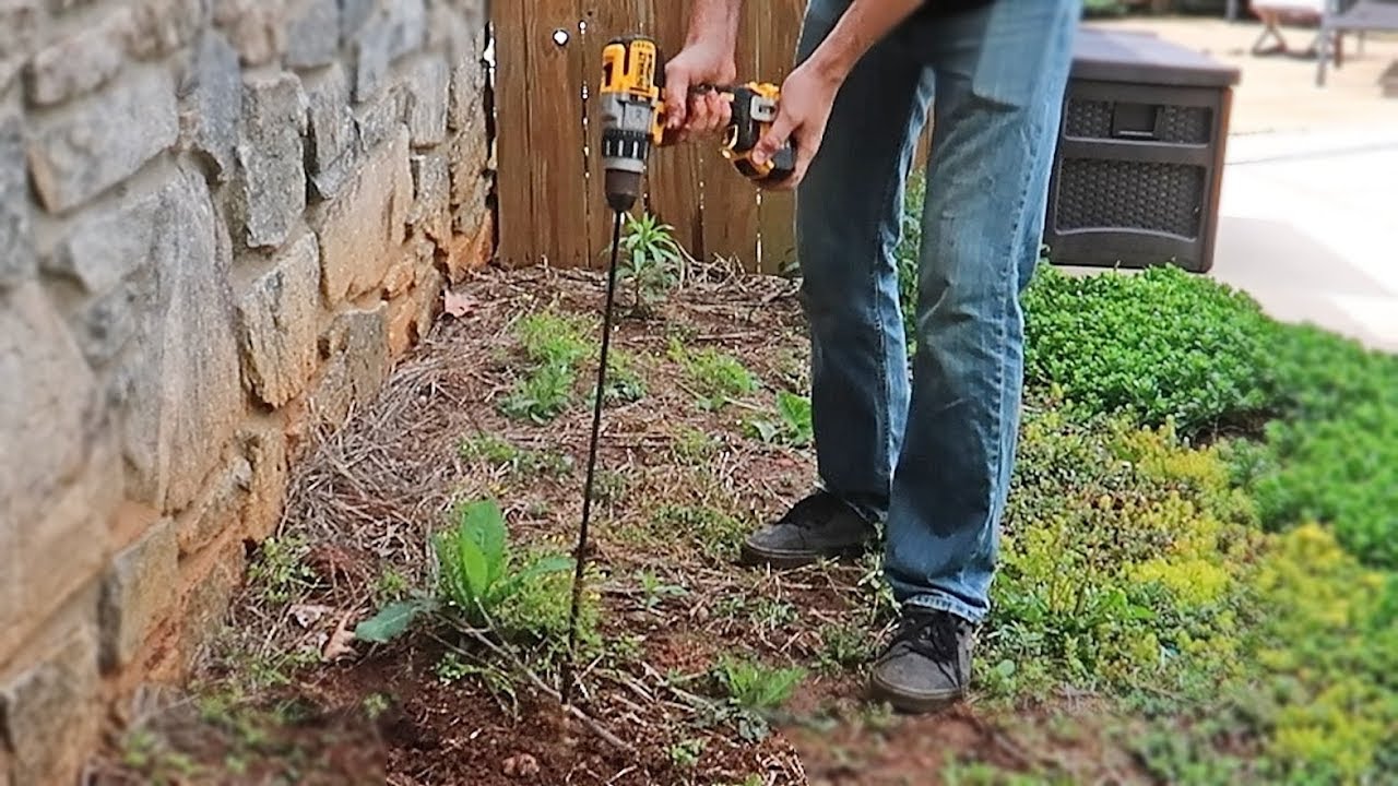 Trying Drill Weeder