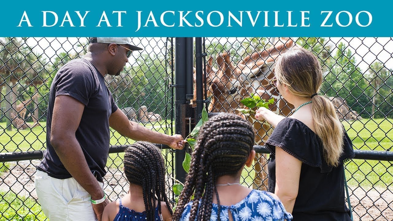 Jacksonville Zoo Private Tour - Our Visit to the Jacksonville Zoo and Gardens - Top Flight Family