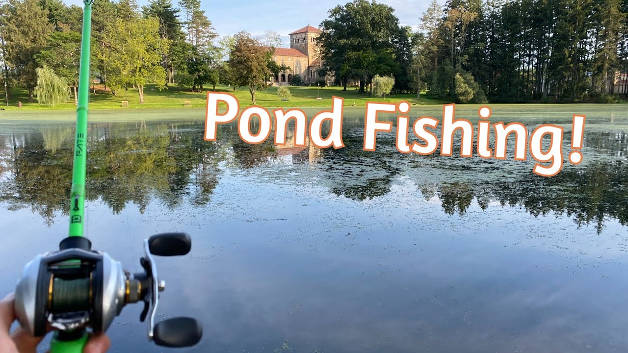 End of summer pond fishing for largemouth bass!