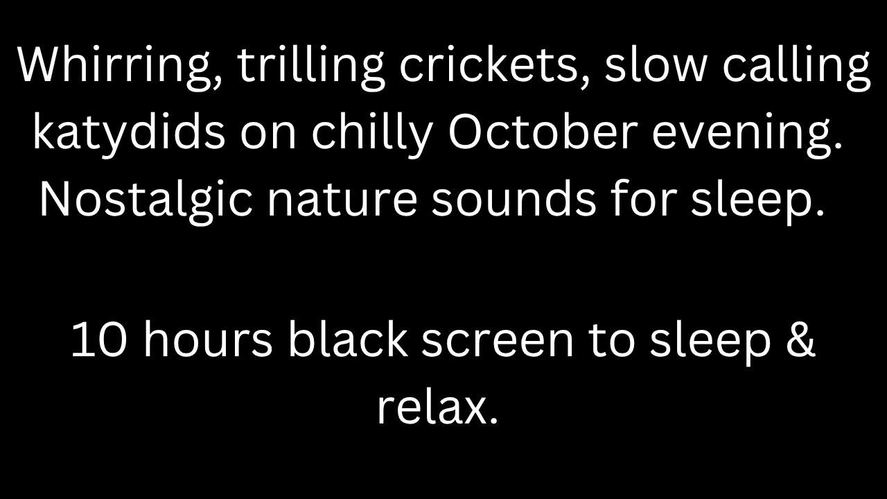 Whirring trilling crickets, slow katydids in October, black screen sleep relax 10 hour cricket sound