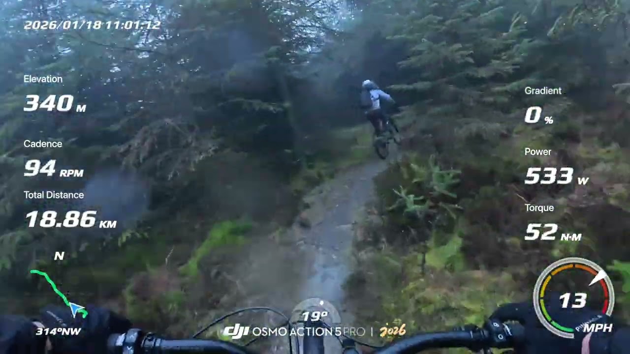 Davagh Forest MTB Trails - Cooktown