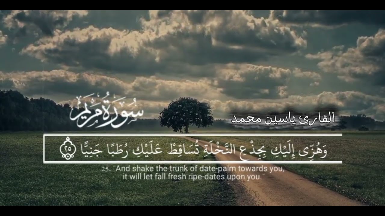 اذا أردت الطمأنينه...استمع لهذه التلاوة 😌|ما تيسر من سورة (مريم)🌹