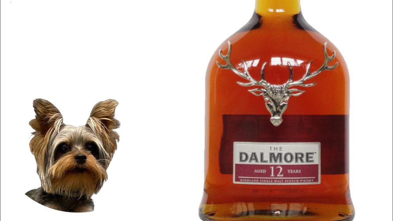 дегустация Dalmore 12