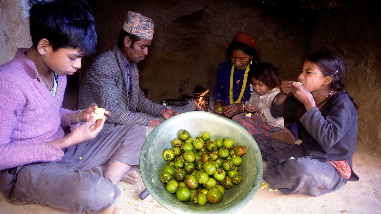 dharme brother's family enjoying village fruits || finding village fruits || village life || village