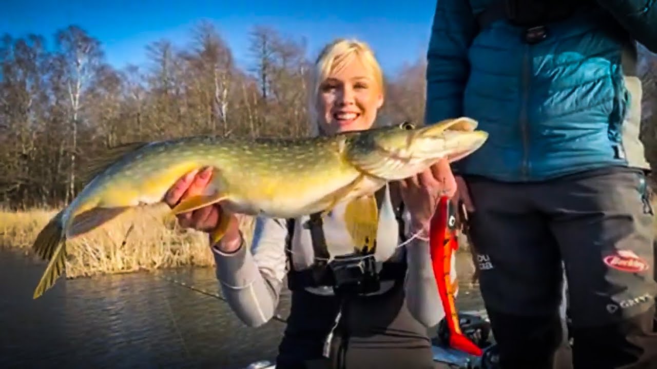 LIVE: Spring PIKE FISHING ☀️🐊 (Corona update, Q&A)