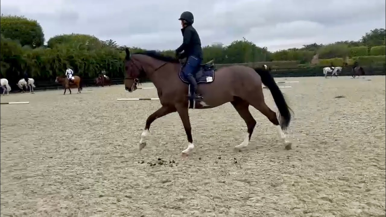 A Mini Madden Method - training tidbit with Beezie and Hummer