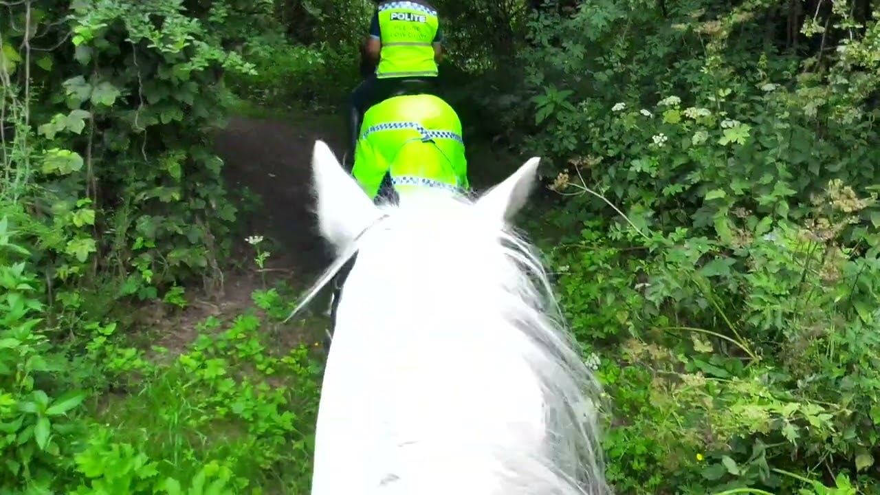 Super ride next to the ship canal and under the Thelwall Viaduct, Lymm