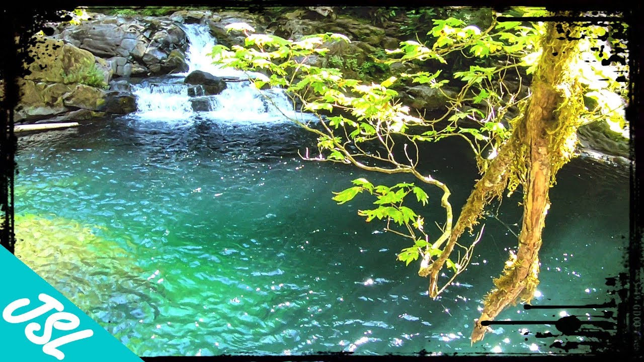 Siouxon Creek | MOST BEAUTIFUL Swimming Hole of Washington State