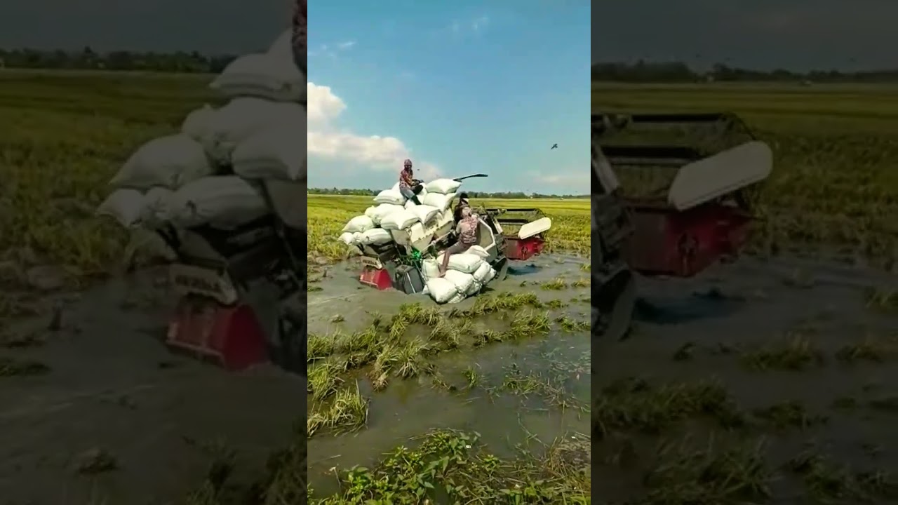 kombi sawah maxxi bimo full muatan